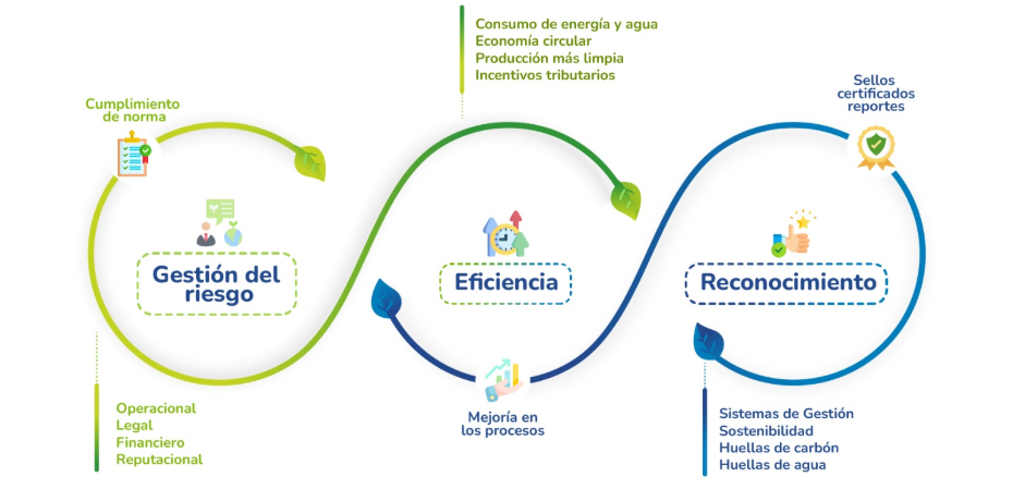 Ruta de la Sostenibilidad Ambientalmente Expertos en gestión ambiental en Medellín