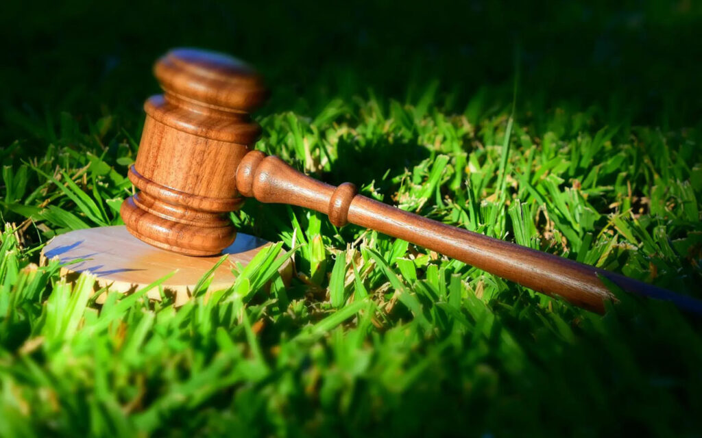 Cambios en regulaciones ambientales 2025 lo que debes saber — asesoría ambiental Colombia