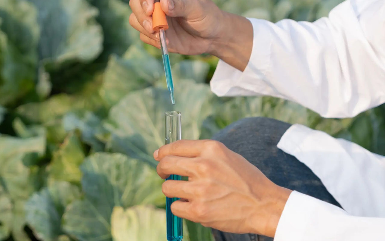 Todo lo que Debes Saber sobre el Decreto